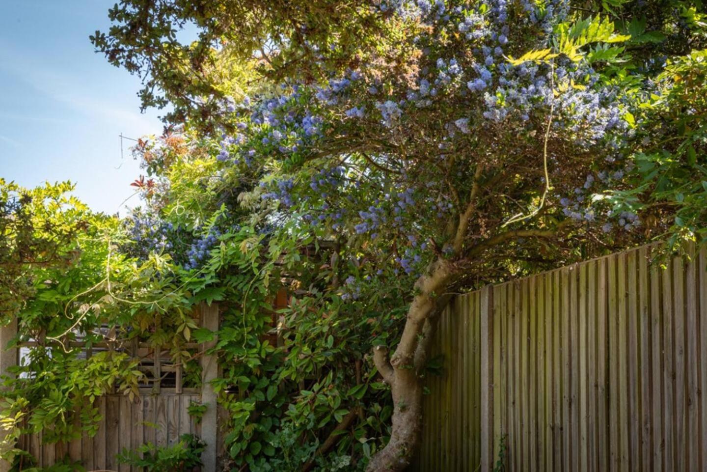 Eden Cottage Whitstable Exteriér fotografie